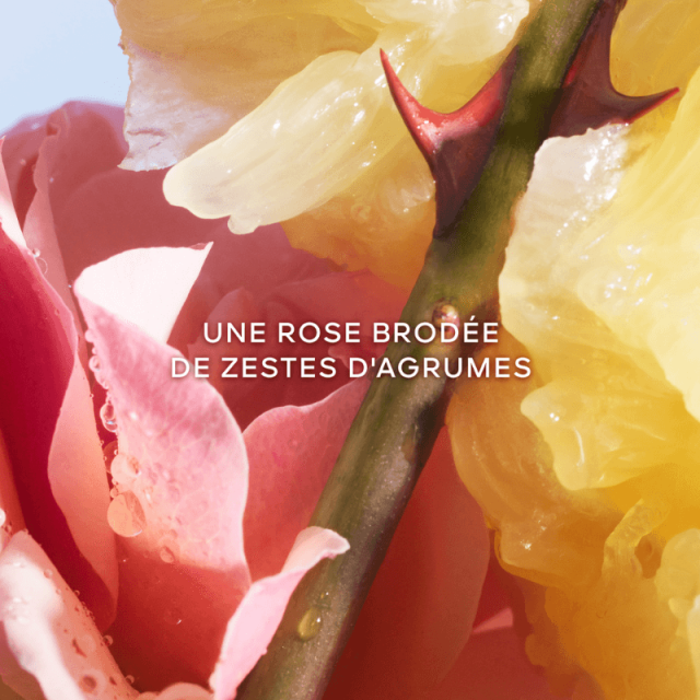 La Petite Robe Noire Eau de Toilette GUERLAIN