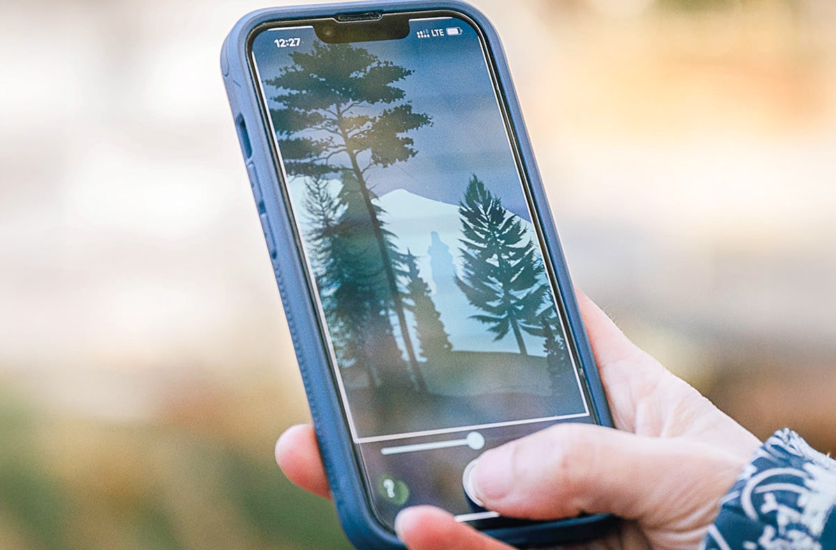 Digitale Schnitzeljagd (Der Wunderwald)