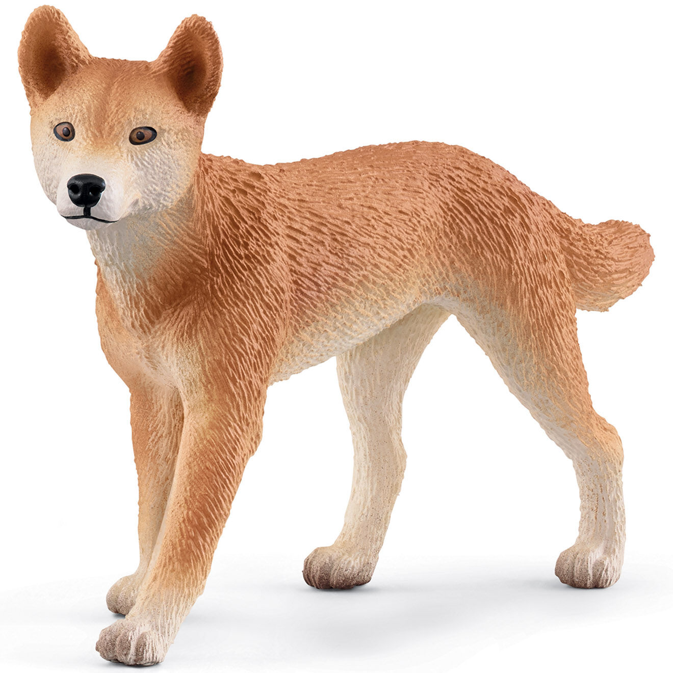 Schleich Aventures en Océanie multicolore