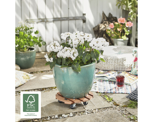 Plantenwagen WPC Ø 29 cm max. draagvermogen 100 kg bruin
