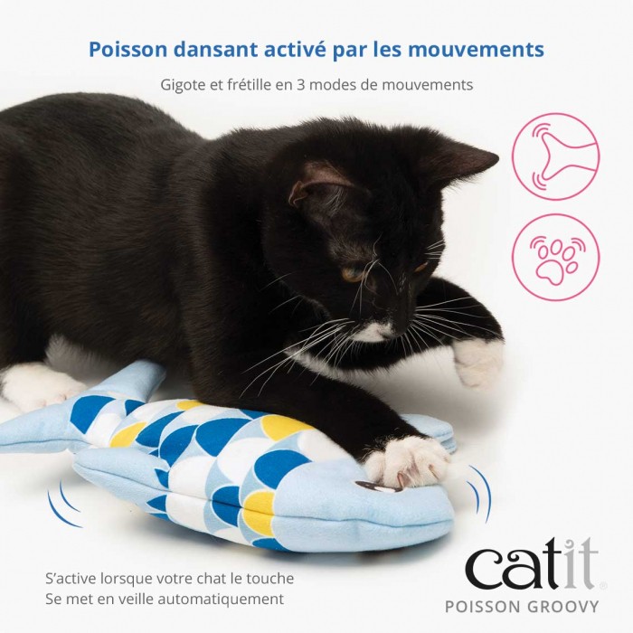 Poisson électronique Groovy