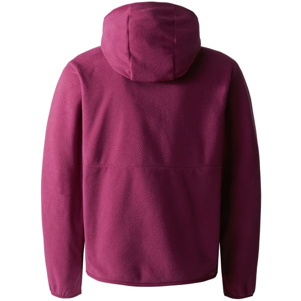 Veste polaire THE NORTH FACE TEEN GLACIER F/Z HOODED JKT BOYSENBERRY