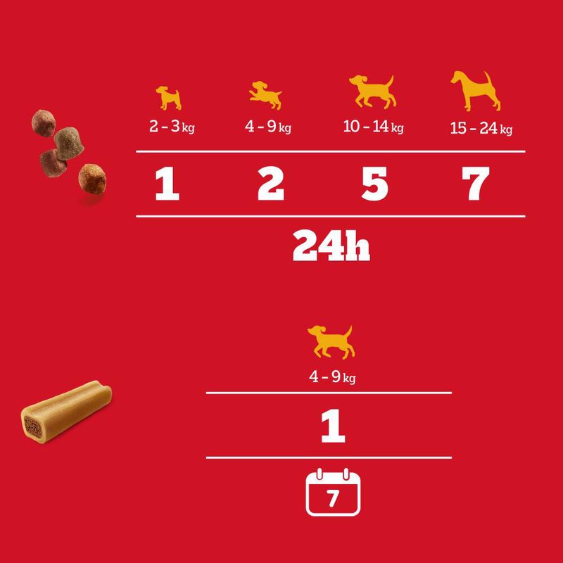 Mega Box Pedigree Sa Récompense Tasty Minis & Son Os à mâcher Mini