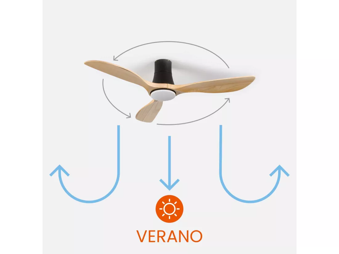 Ventilateur de plafond avec lumière 3 pales 56W 6 vitesses Dakota Dayron