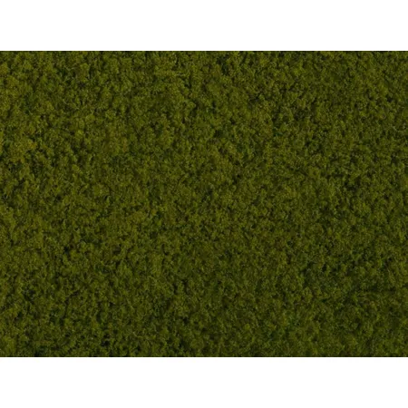 Noch 07270 - Foliage