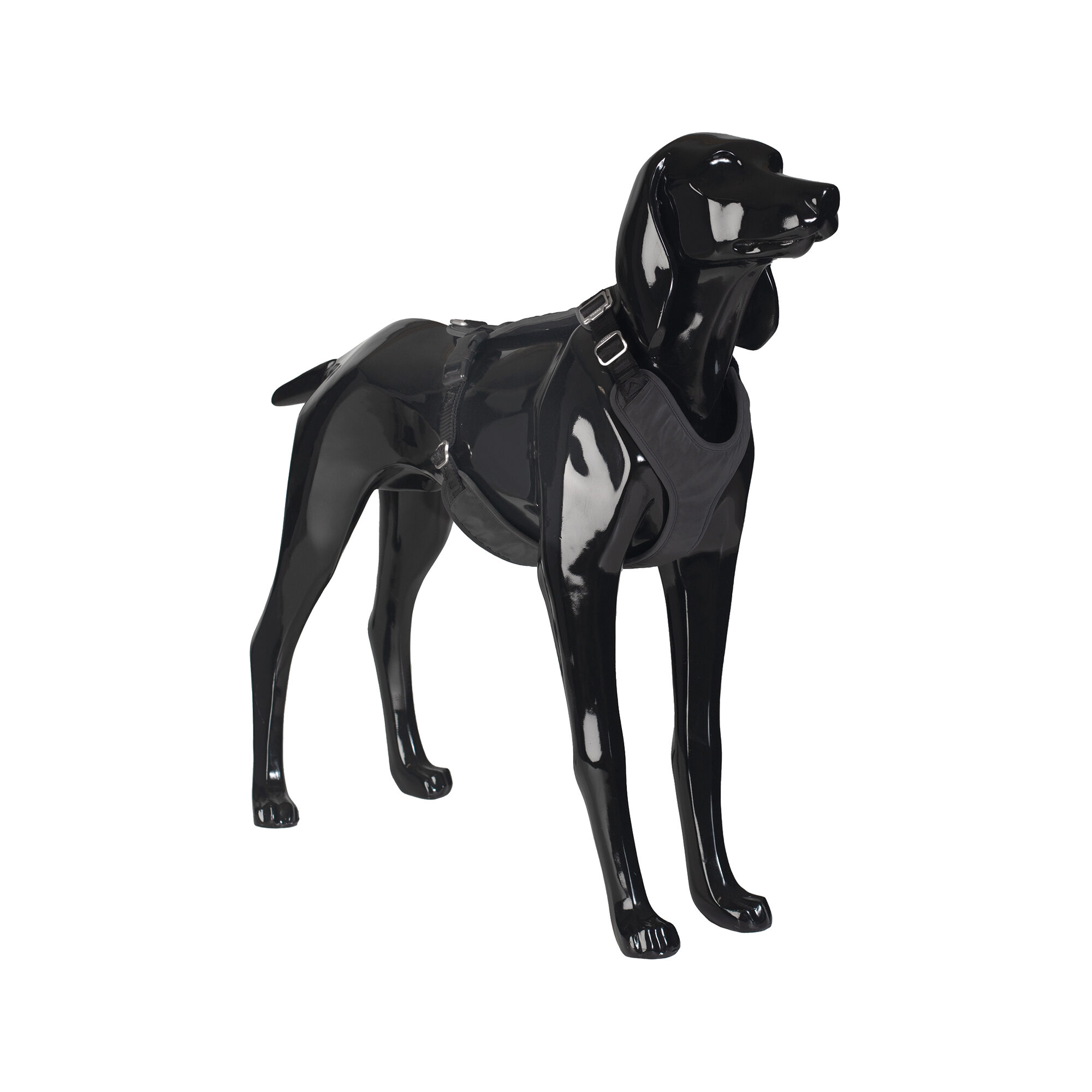 PAIKKA Visibility Harness