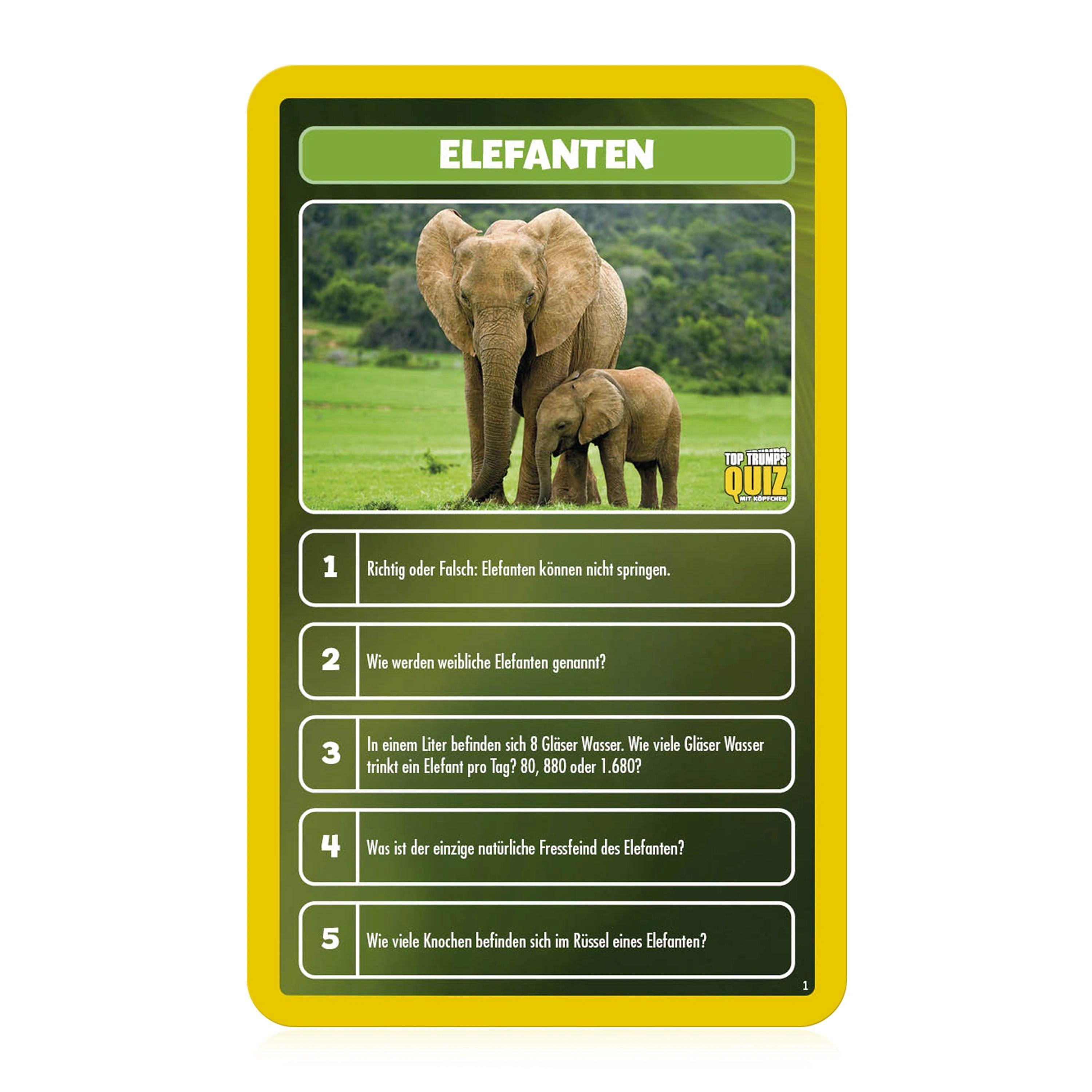 TT Quiz Welt der Tiere (Spiel)