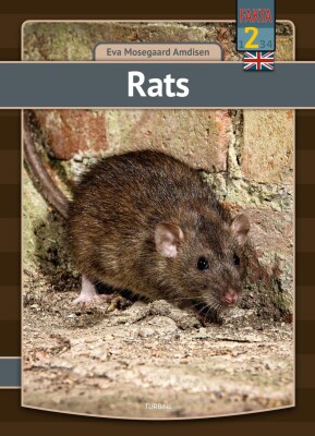 Rats - Eva Mosegaard Amdisen - English Book