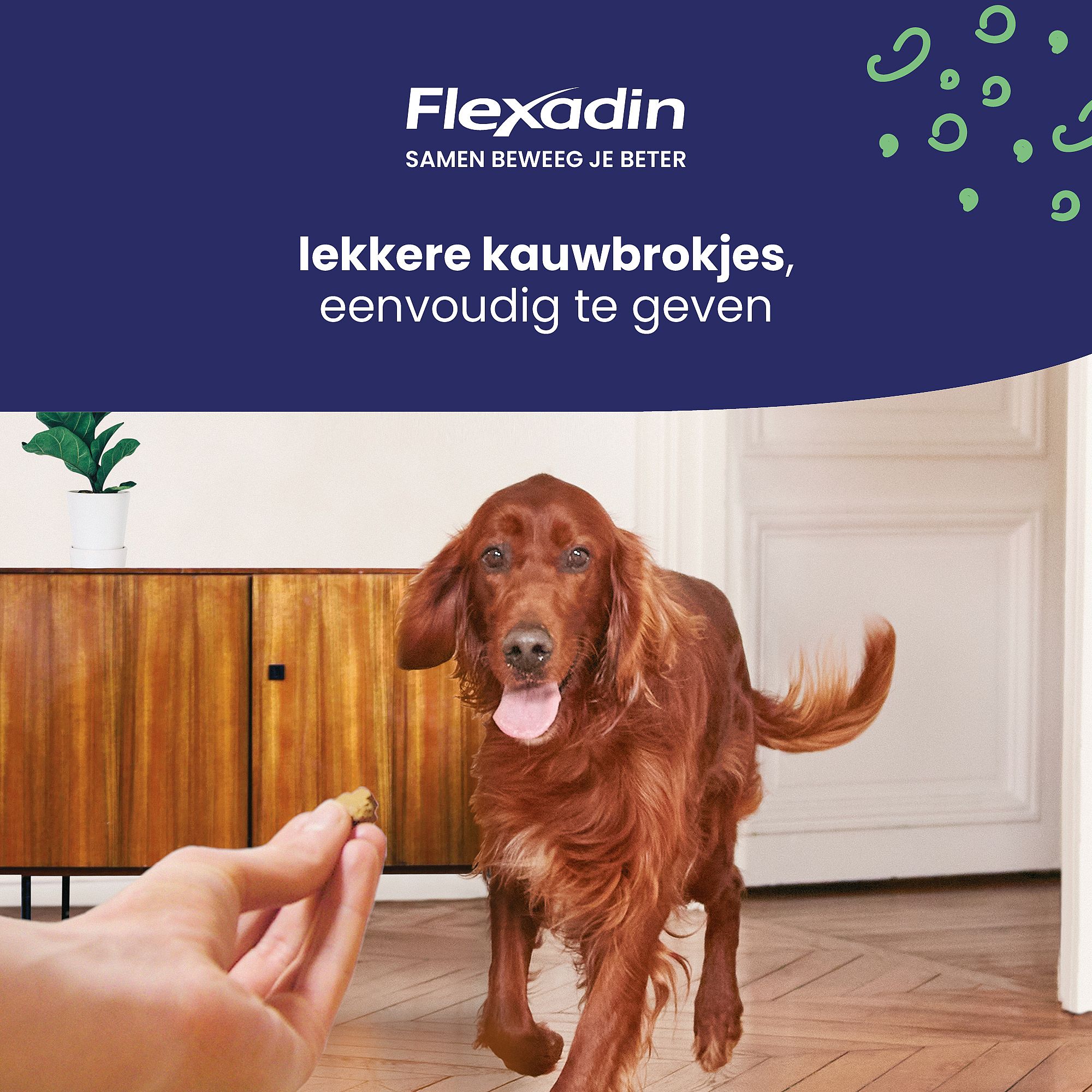 Flexadin Young Dog | Maxi - 60 Kauwbrokjes | 12728.1