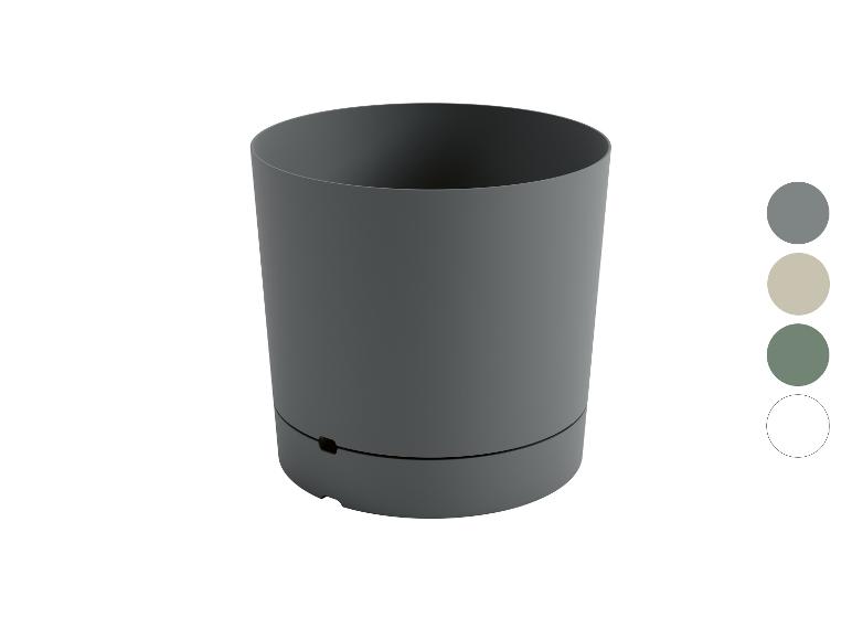 Bloempot