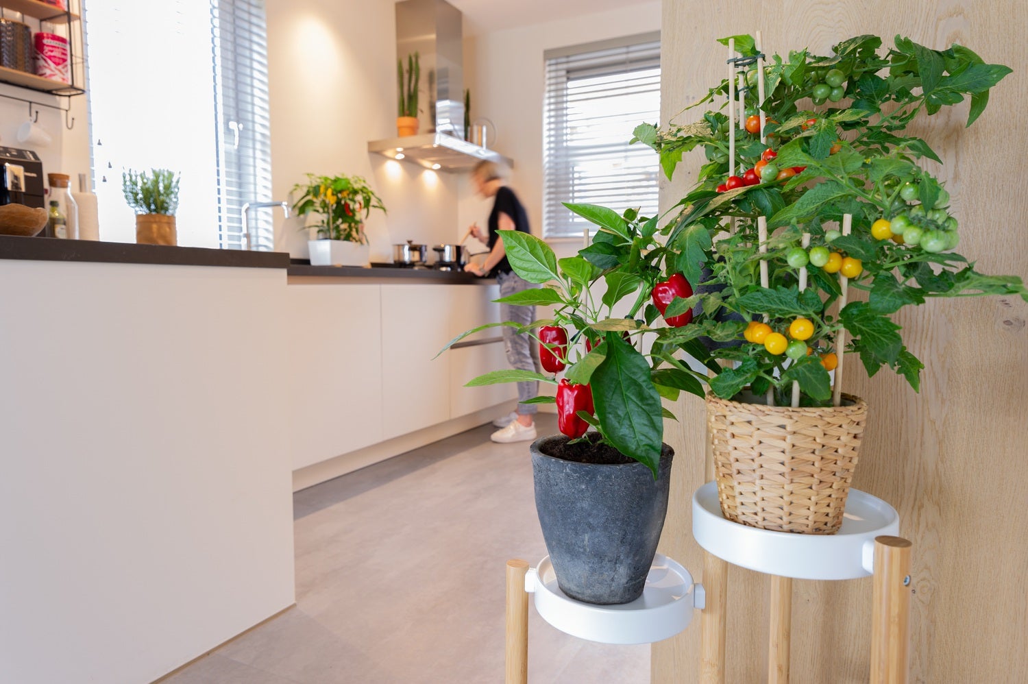 Pick-&-Joy Plukpaprika mini rood (Capsicuum Anuum) D 14 H 40 cm