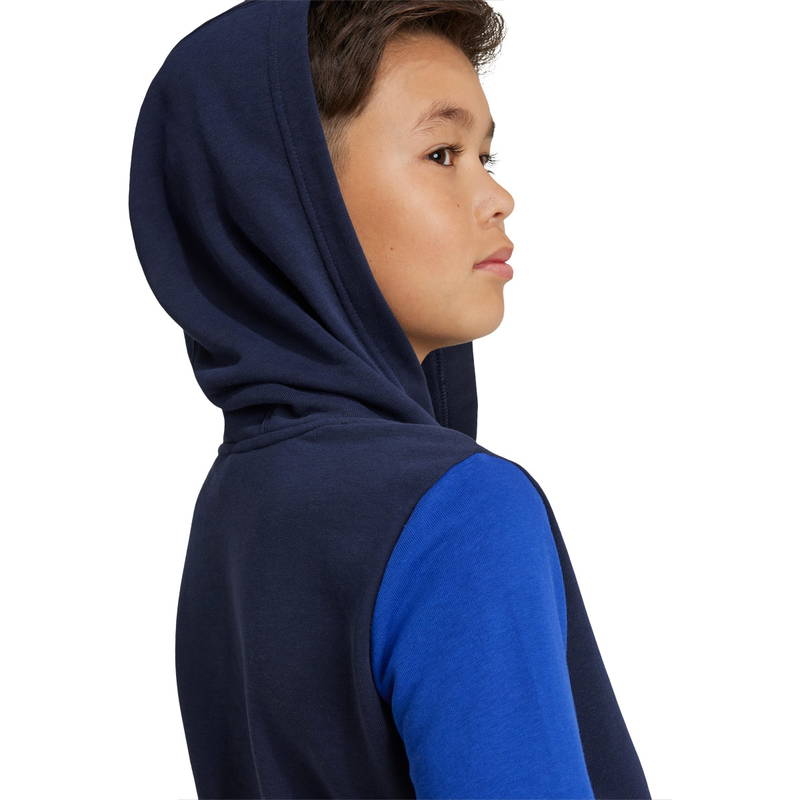 adidas Big Logo Colorblock Hættetrøje Børn