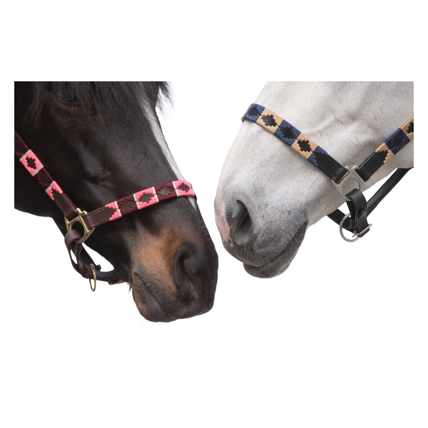 black forest Lederhalfter Canterbury  - black/navy