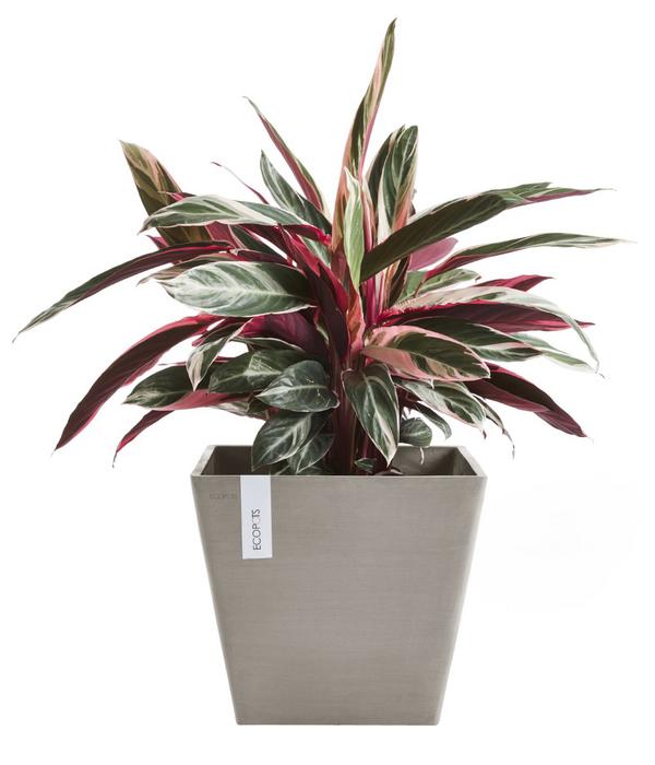 Ecopots Kunststoff-Topf Rotterdam, quadratisch