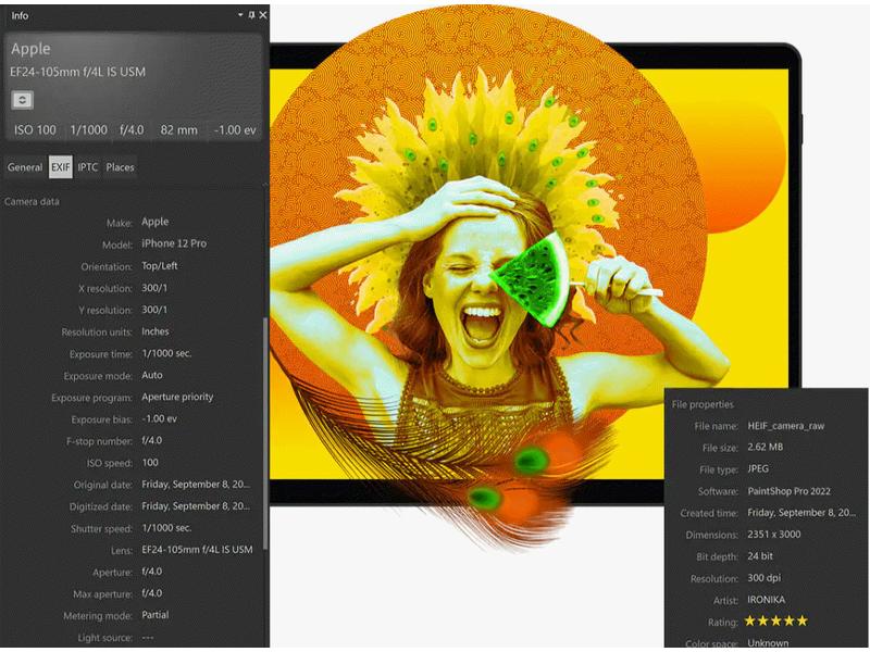 Corel PaintShop Pro 2023 Box, Vollversion Bildbearbeitungsprogramm für Windows