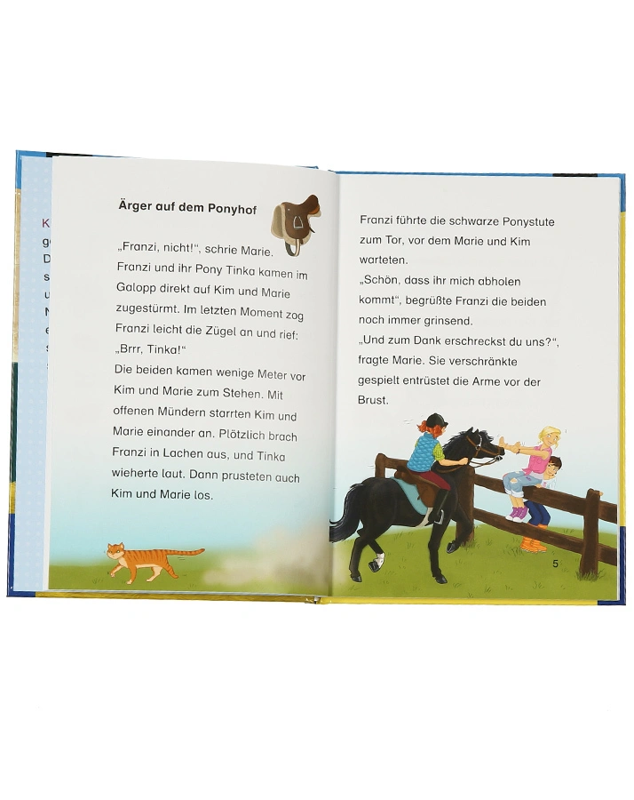 Bücherhelden / Die drei !!!, Geheimnis auf dem Ponyhof