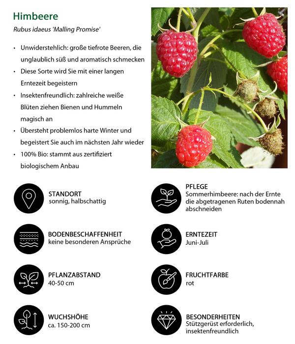 Himbeer-Brombeer-Set Gesund & Lecker, 3-teilig