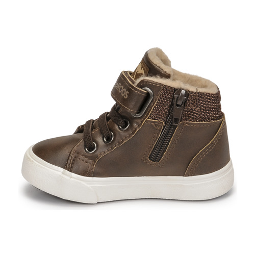 Kangaroos - KAVU III - Marron