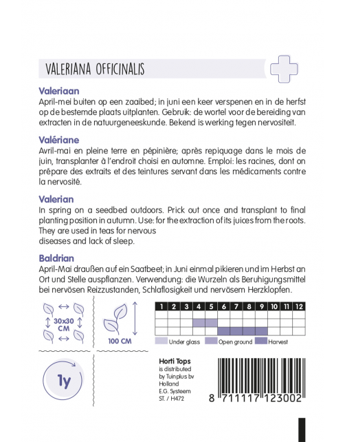 Hortitops Echte Valeriaan - Kruidenzaden - 250 g