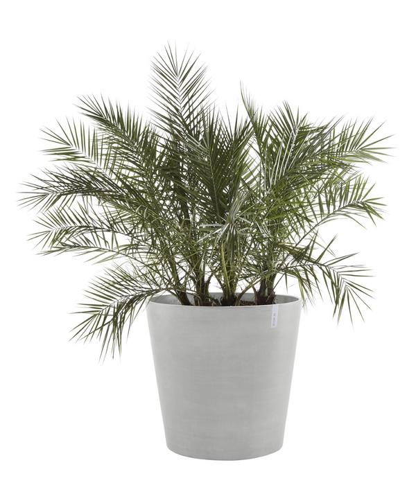Ecopots Kunststoff-Topf Amsterdam mit Rollen,