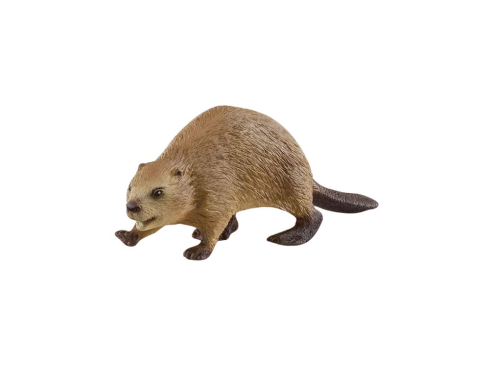 Schleich Wald & Ozean - Biber