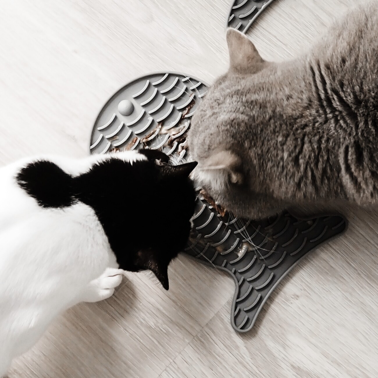 Minty&Marla Schleckmatte Katze