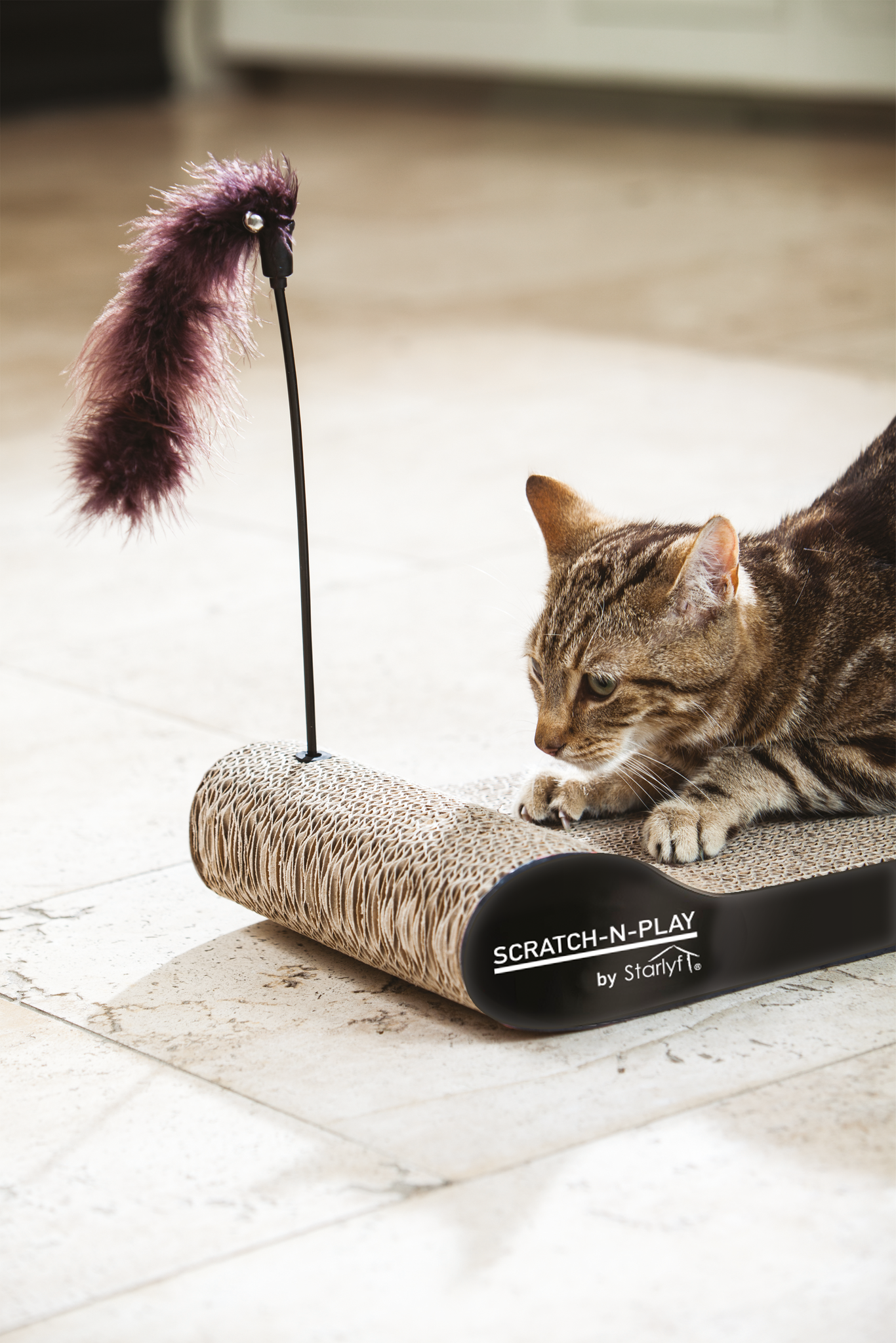(47.5x21cm) Scratch N Play Krallen Kratzpappe Katzen Kratzbrett inkl. 3g Minze   Spielfeder (VVAVACIND0474) - Braun