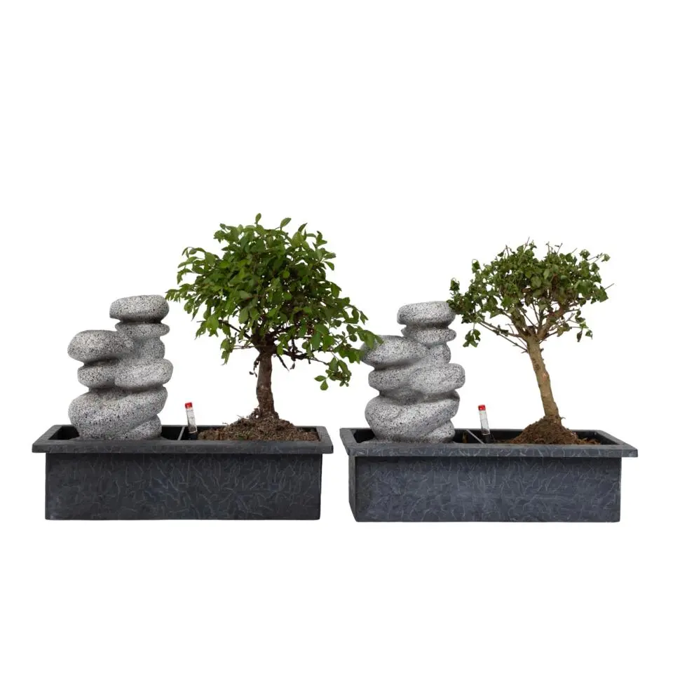 Bonsai met waterval - Set van 2 - Bonsai - Hoogte 25-35cm - ⌀29cm