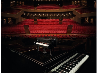LEGO Vleugelpiano (21323)