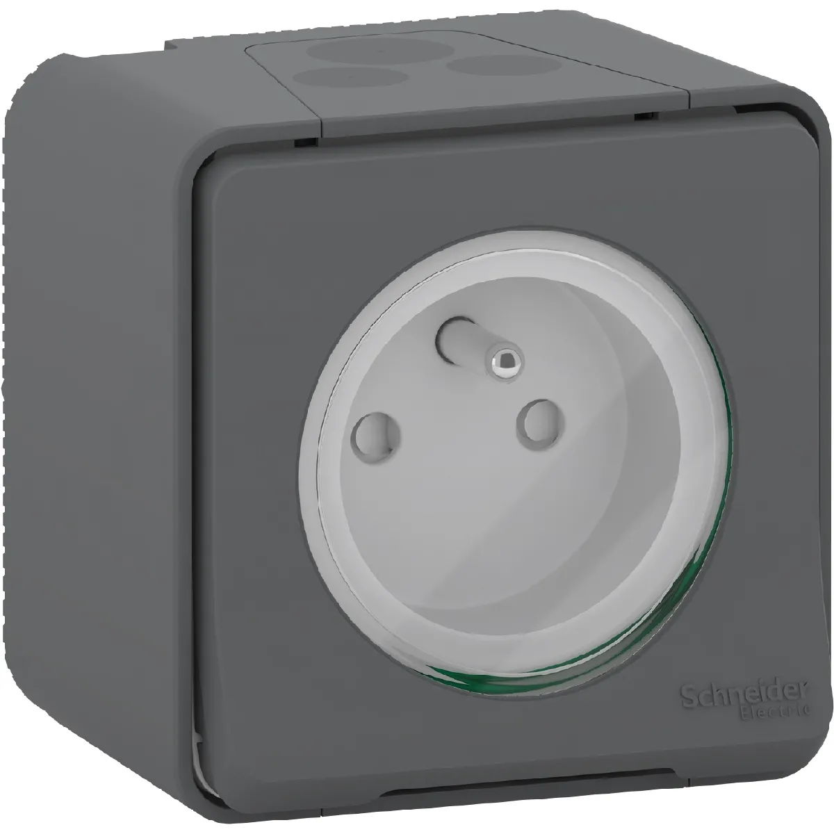 Schneider Electric Prise Mureva Styl - Gris