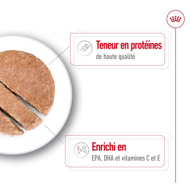 Royal Canin Medium Ageing Mousse