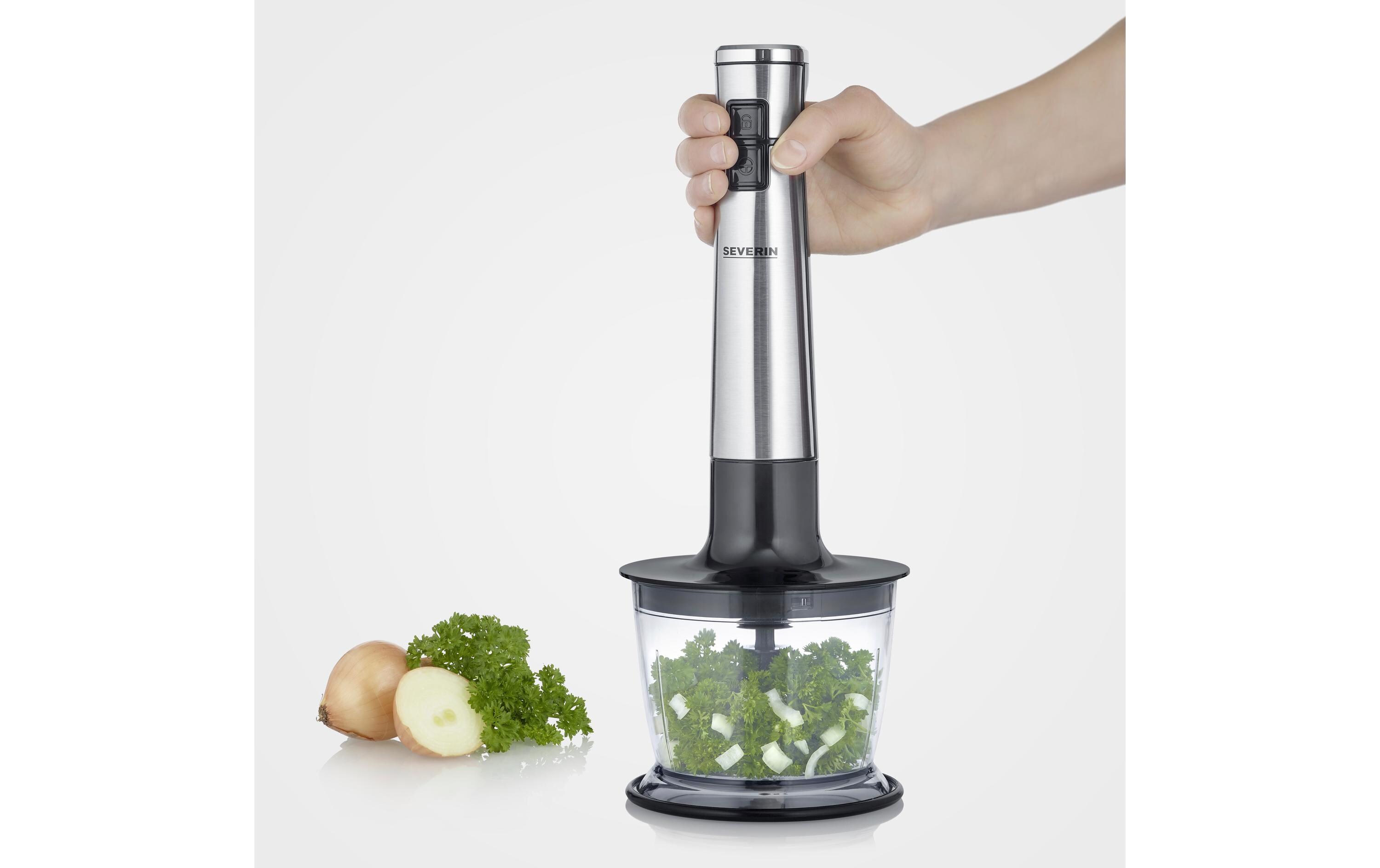 Stabmixer SM 3775 SilberKabelloses Stabmixer-Set