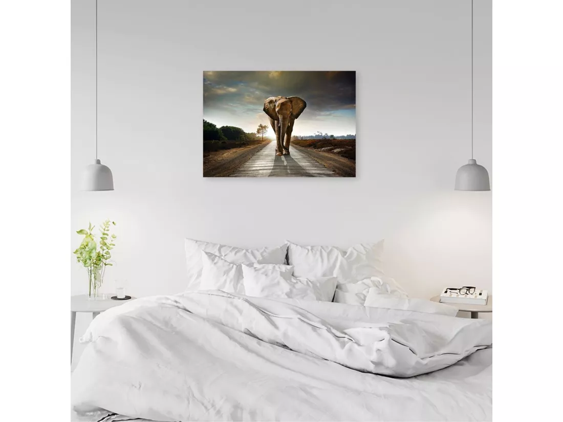 Tableau éléphant sur la route - 90 x 60 cm