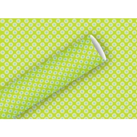 Braun & Company Geschenkpapier 2mx70cm Rosina, hellgrün