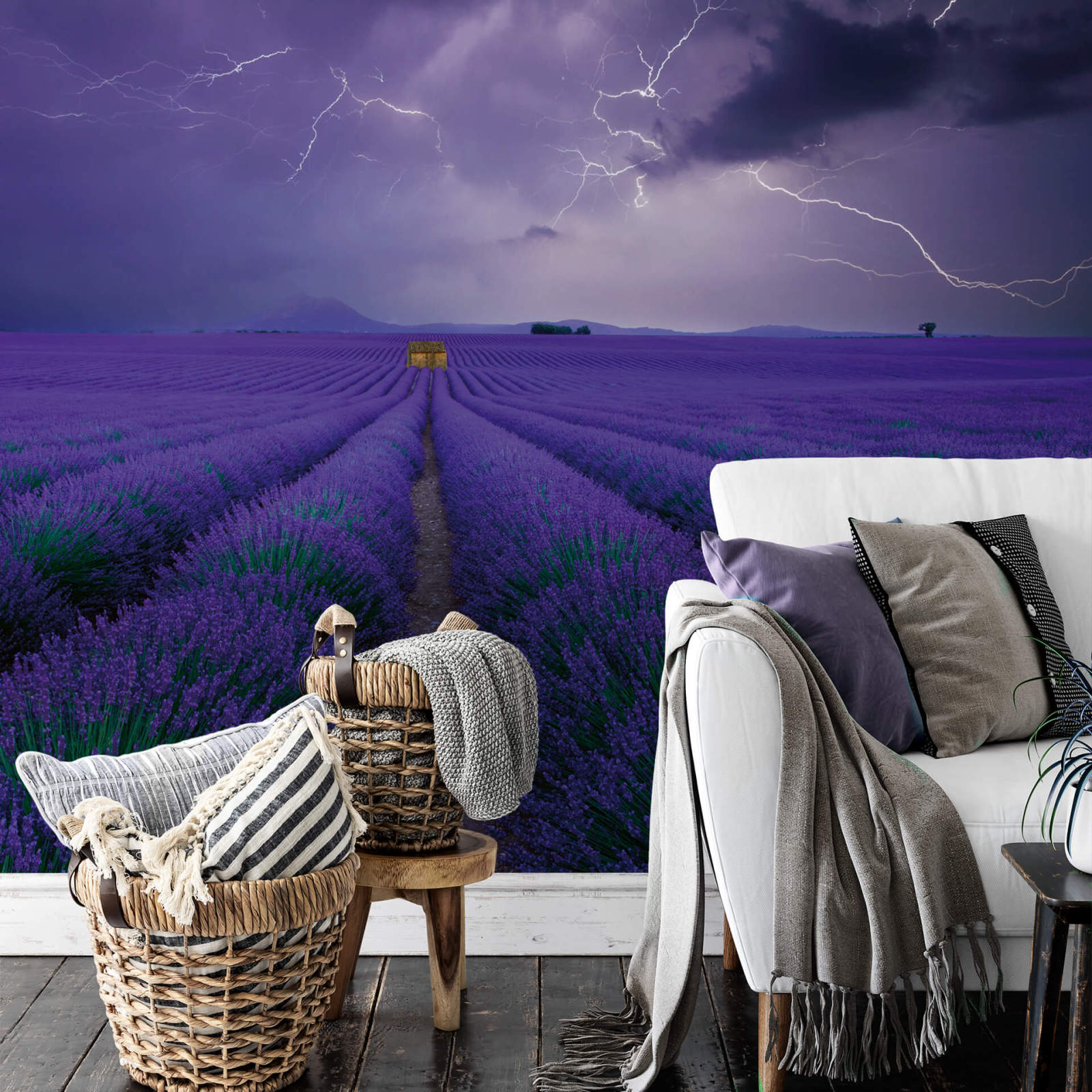 Fototapete DESIGNWALLS 2.0 - lila-grün - Lavendel - 2,6 Meter