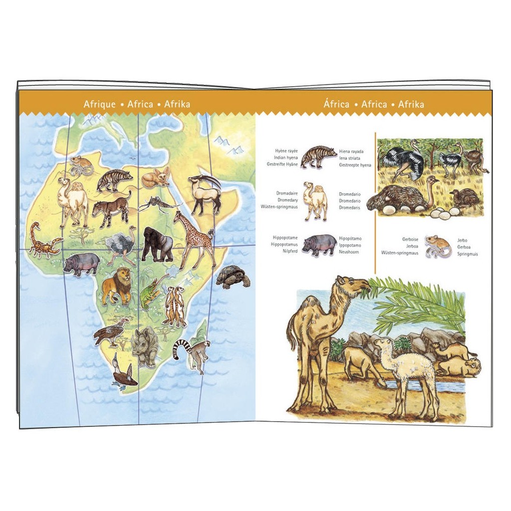 Puzzle Observation - Les animaux du monde - 100 pièces