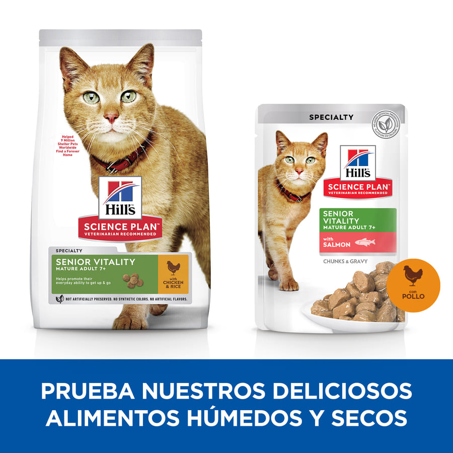 Hill's Science Plan Youthful Vitality Adulto Maduro 7+ Frango ao Molho Sachê para Gatos