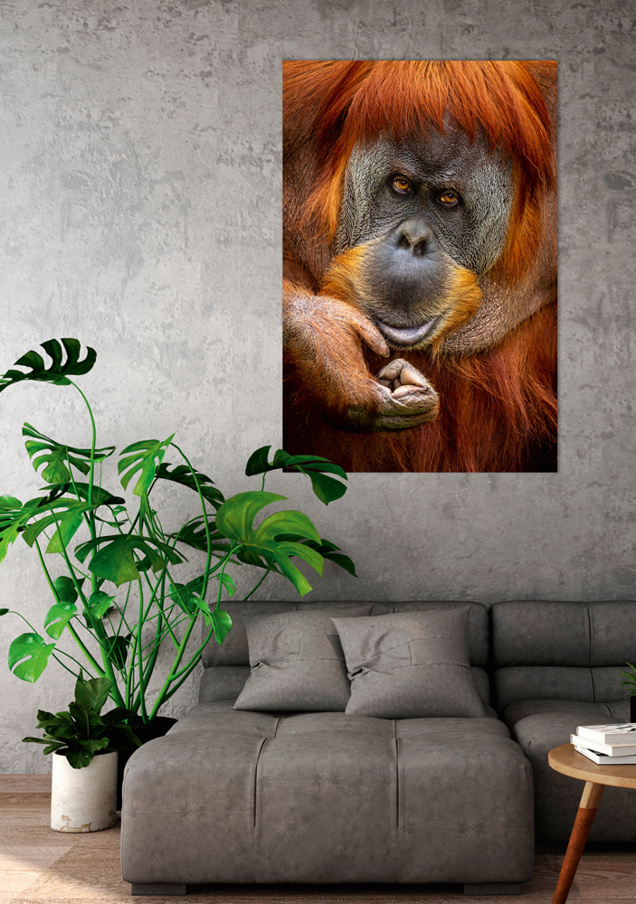 Akustikbild ORANG-UTAN 80x120cm, 7kg