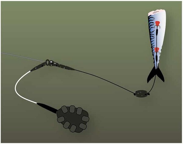 Poids flottants Fox Rage Predator Camo pour appâts morts (5 pièces)