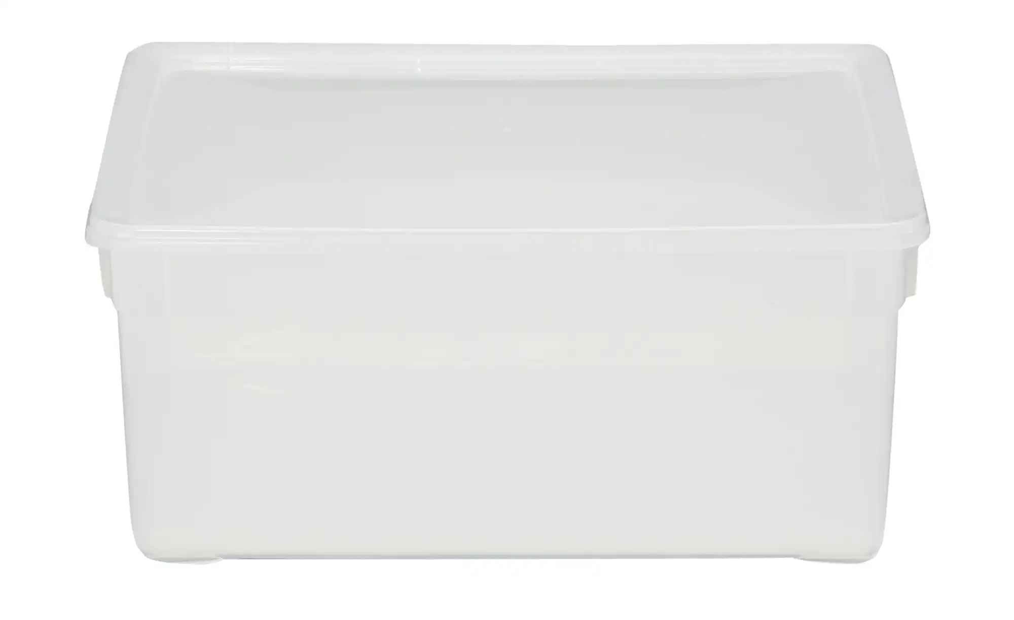 Rotho Aufbewahrungsbox, 2er Set
