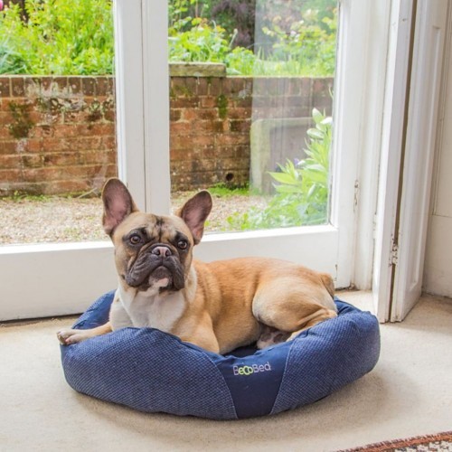 Cama de descanso azul para cães