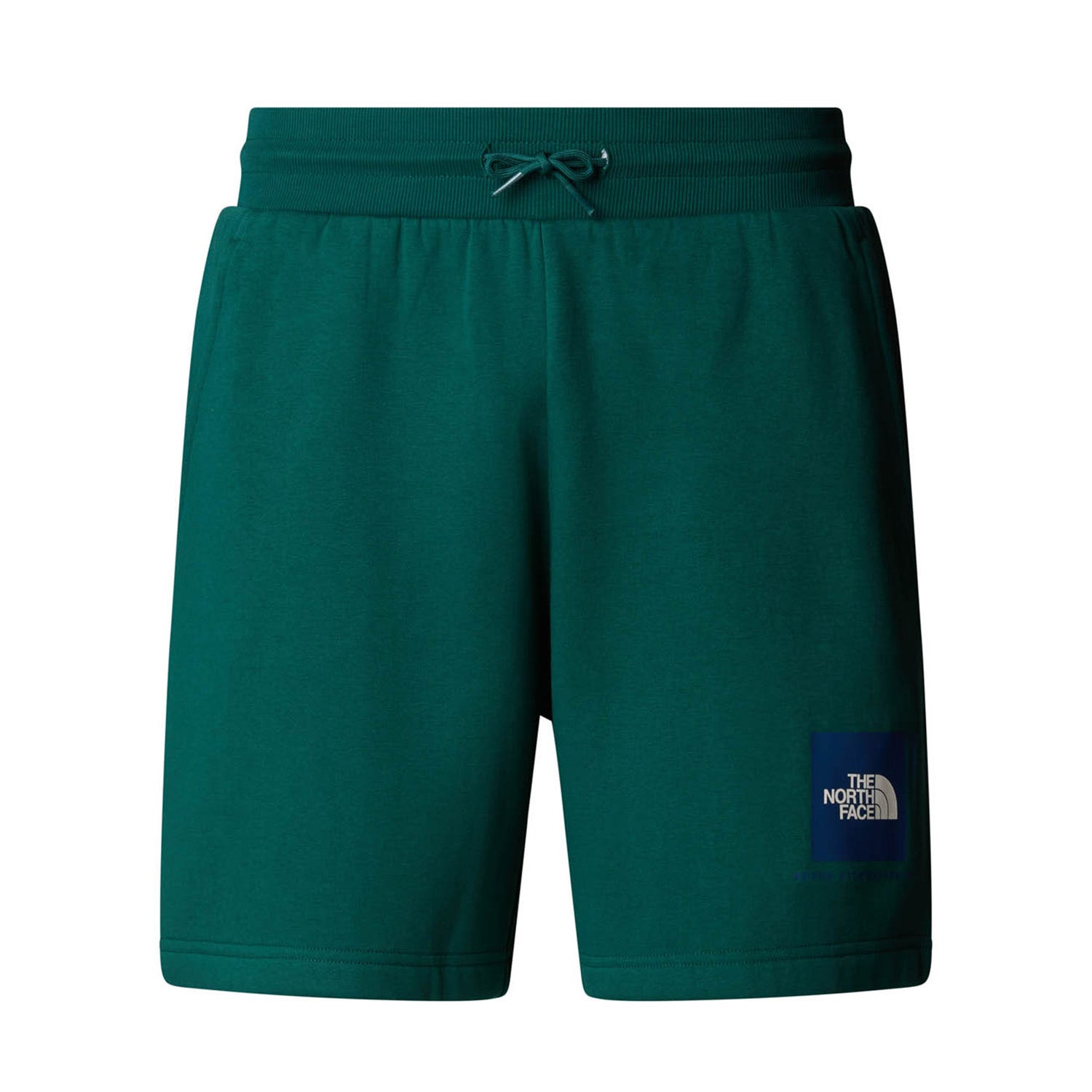 The North Face  Box Regular Shorts