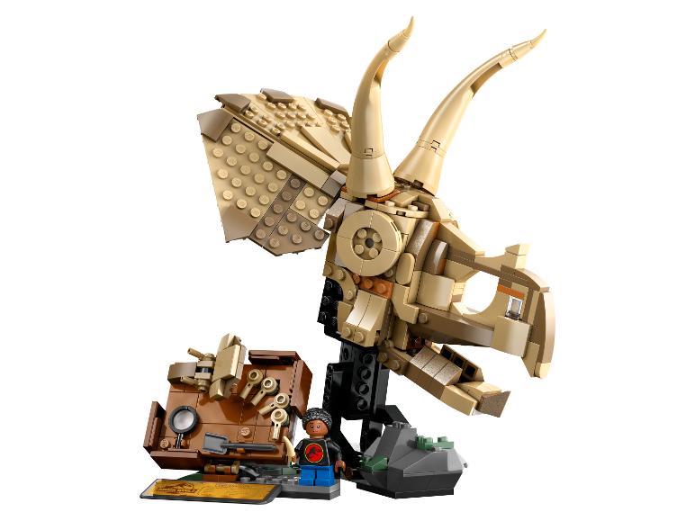 Dinosaurusfossielen: Triceratops schedel 76969