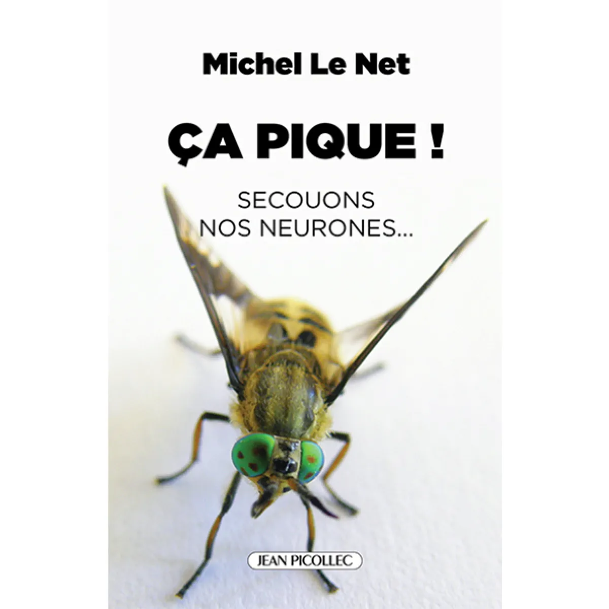 Ca pique ! : secouons nos neurones... · Occasion