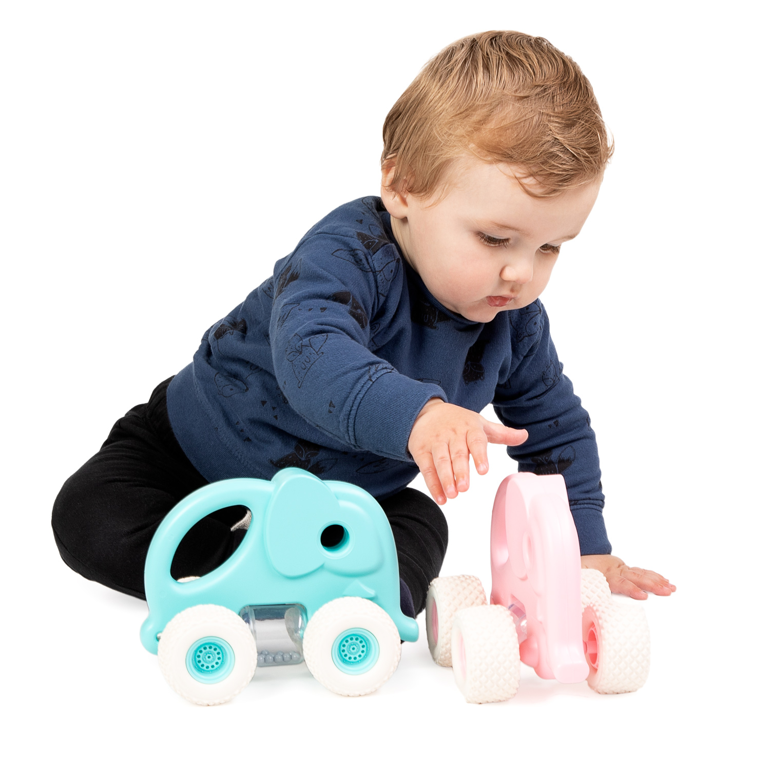 Cavallino Blauwe Olifant met Ratel