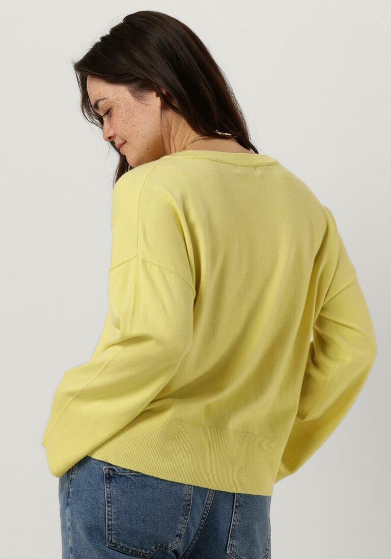 MSCH COPENHAGEN gele msch copenhagen trui dalinda rachelle pullover