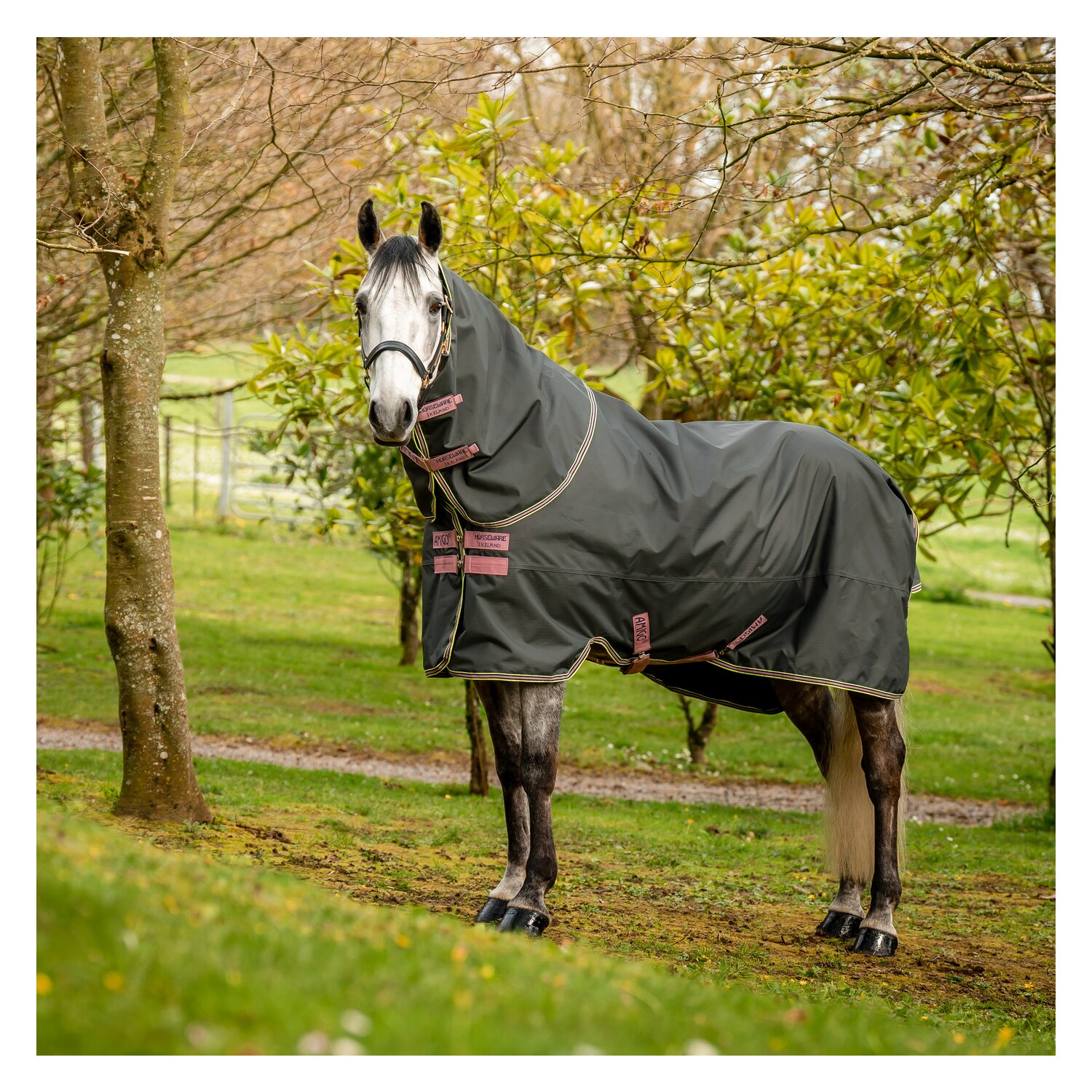 HORSEWARE Outdoordecke Amigo Hero Ripstop Plus Lite - shadow / rose & navy