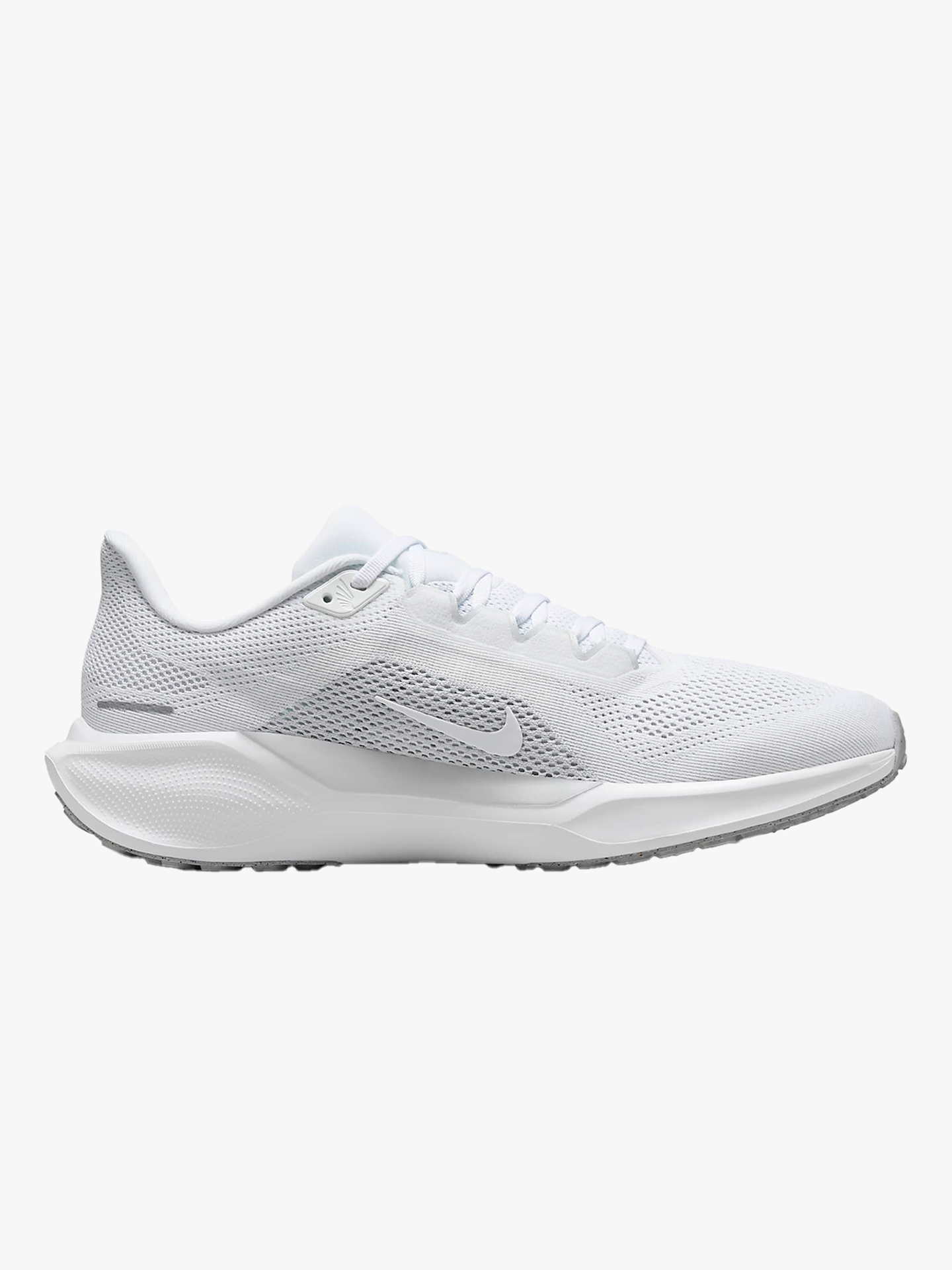 Pegasus 41