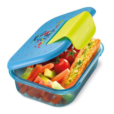 Boîte repas Ecozen 900 ml pour enfants – Design raton laveur – Hermétique et écologique