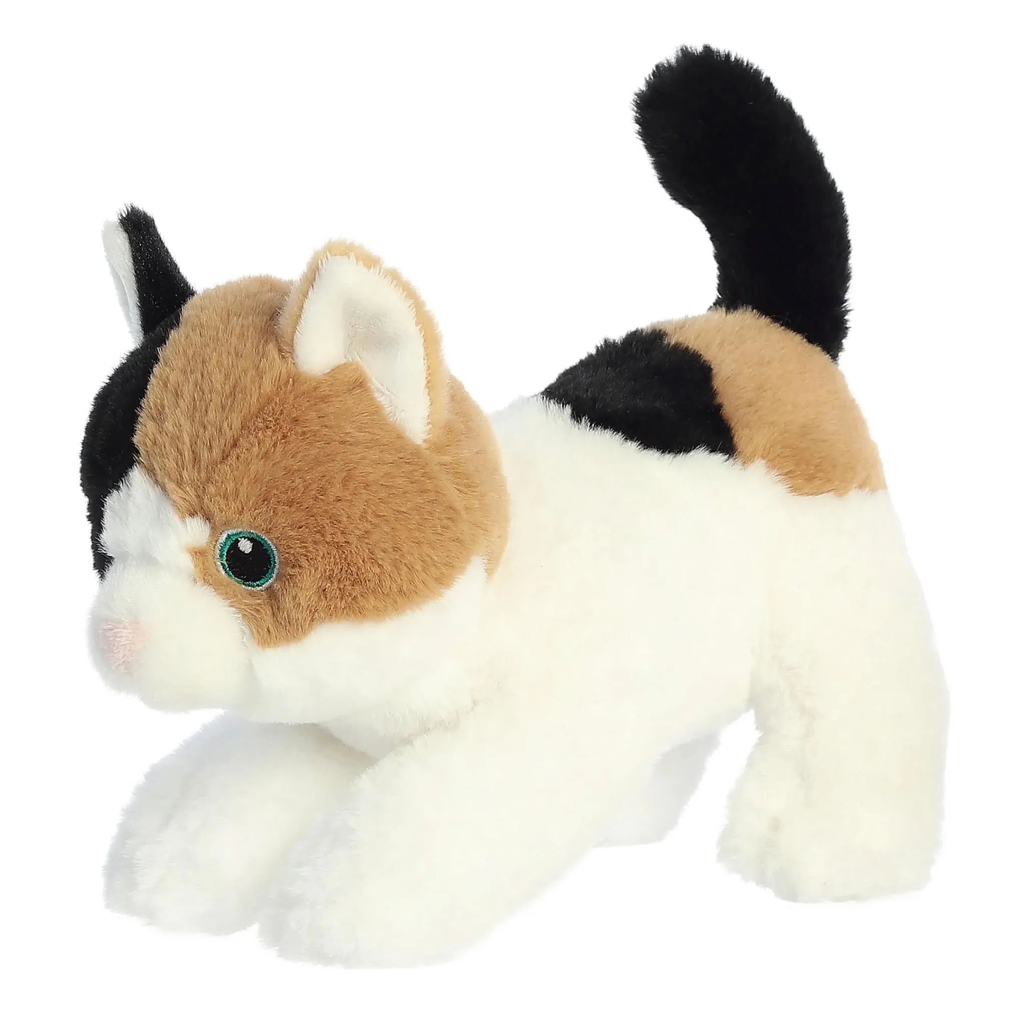 Aurora Chat Calico 8.5
